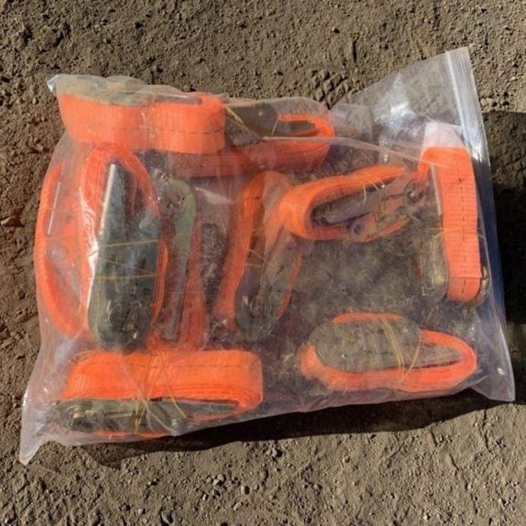 (10) Unused 1in Ratchet Straps.