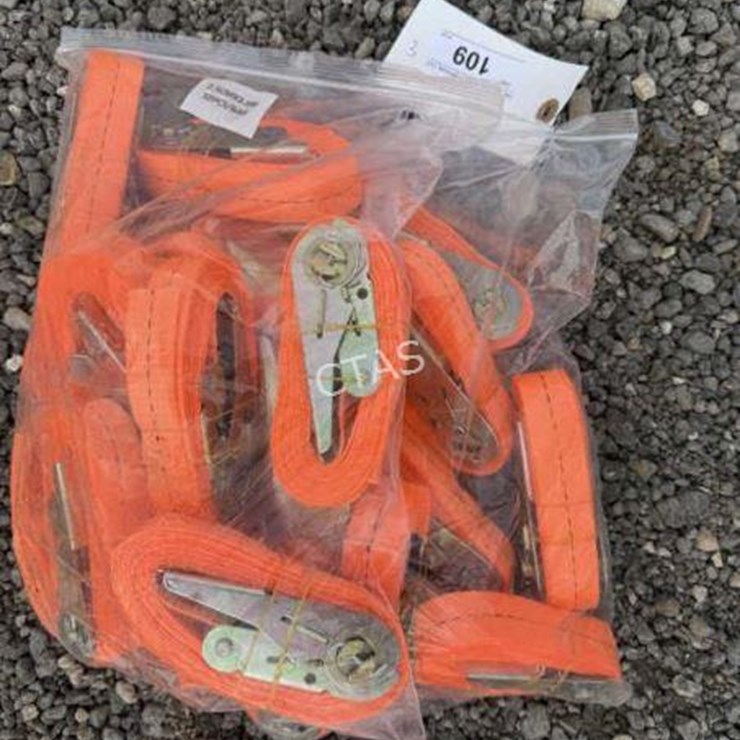 #109 • (20) Ratchet Straps - 2.5cm x 3.5m