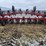 case-ih-183-image-2