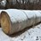 wheat-straw-round-bales-(bid-per-bale)-image-4