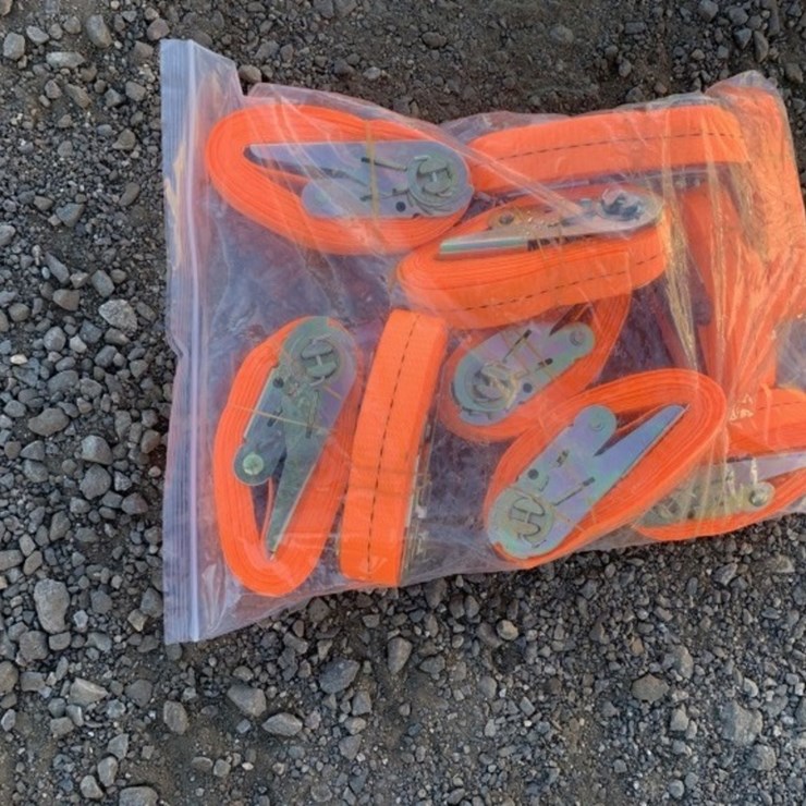 (10) Unused 1in Ratchet Straps.
