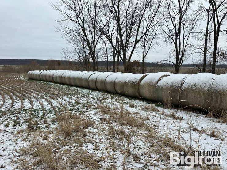 wheat-straw-round-bales-(bid-per-bale)-image-8