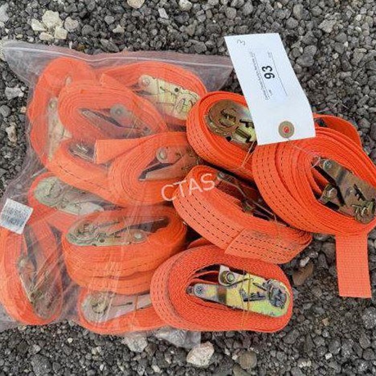 #93 • (14) Ratchet Straps - (10) 2.5cm x 5m &
