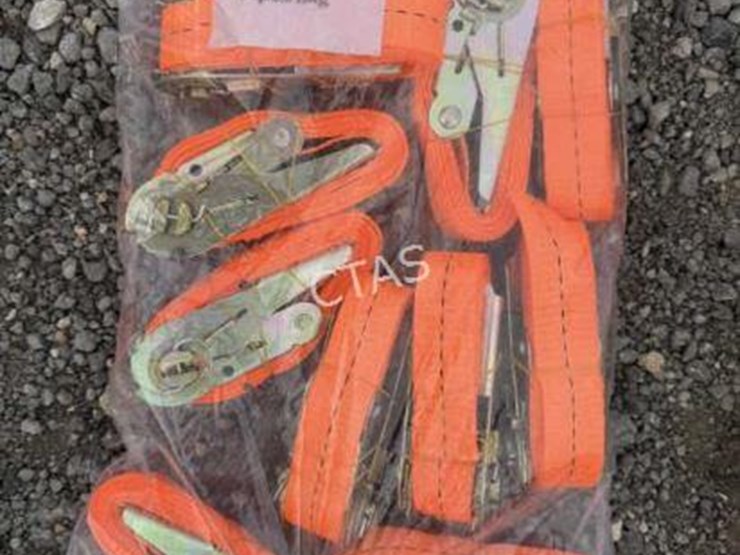 #98-•-(10)-ratchet-straps---2.5cm-x-2m-image-1
