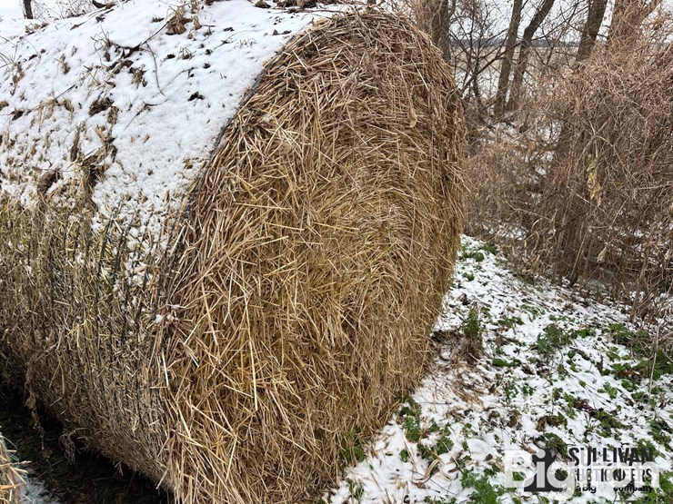 wheat-straw-round-bales-(bid-per-bale)-image-3