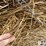 wheat-straw-round-bales-(bid-per-bale)-image-7