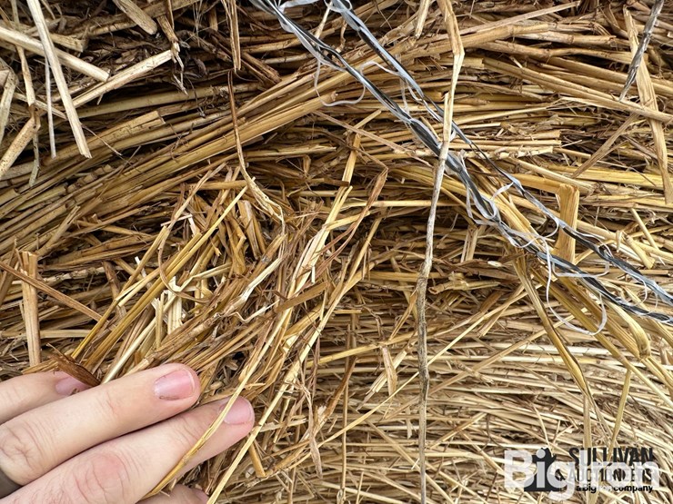 wheat-straw-round-bales-(bid-per-bale)-image-7