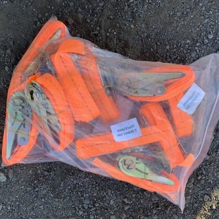 (10) Unused 1in Ratchet Straps.