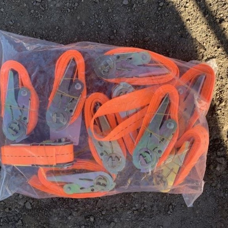 (10) Unused 1in Ratchet Straps.