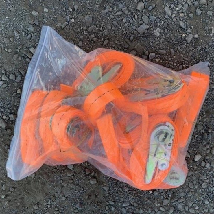 (10) Unused 1in Ratchet Straps.