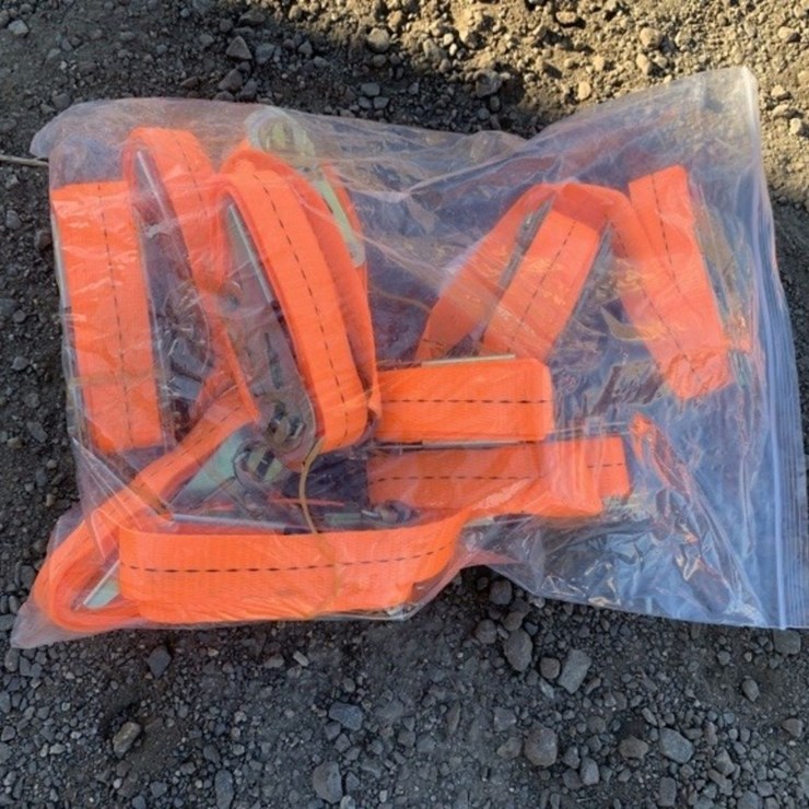 (10) Unused 1in Ratchet Straps.