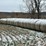 wheat-straw-round-bales-(bid-per-bale)-image-9