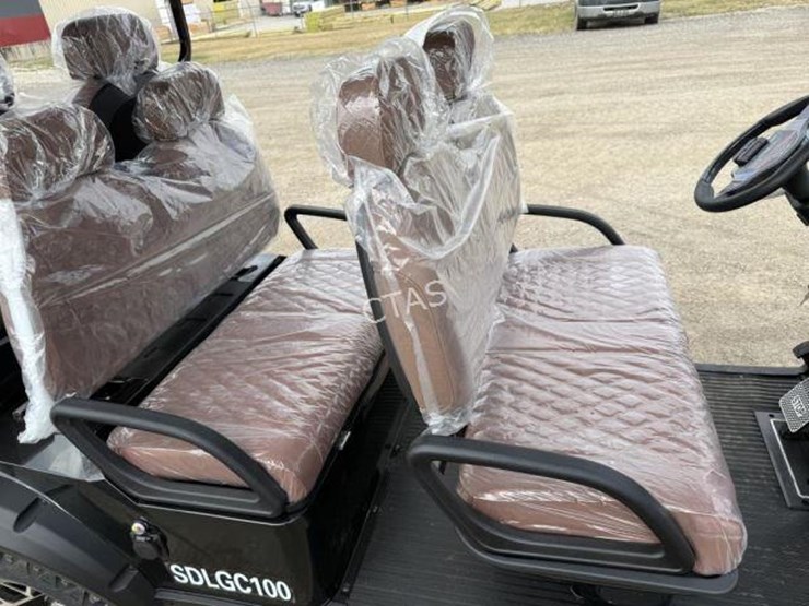 #20-•-electric-6-seater-golf-cart-(sdlgc100)-image-7
