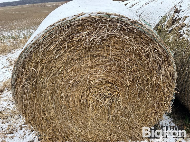 wheat-straw-round-bales-(bid-per-bale)-image-3