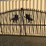 unused-2025-sd-lanch-14ft-bi-parting-iron-gate-image-1