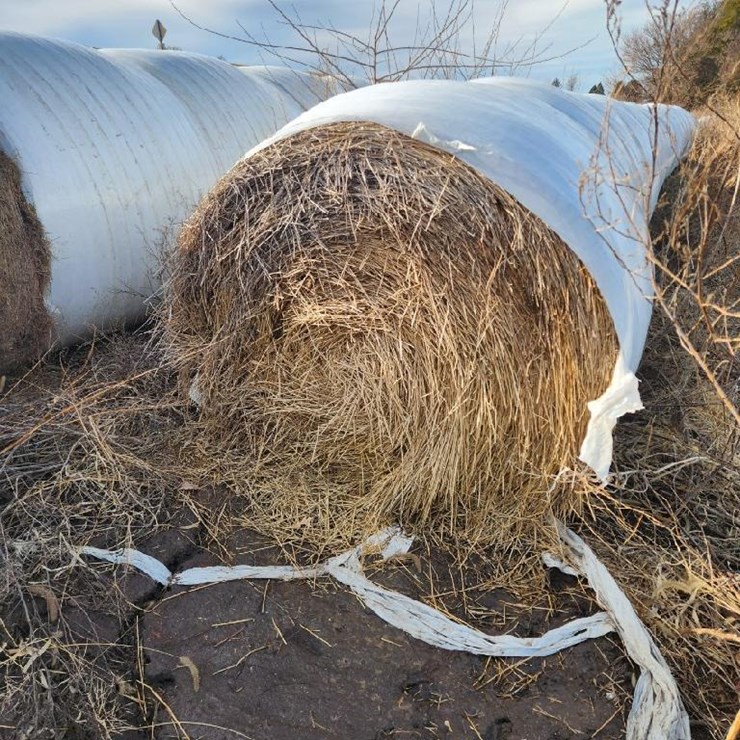 Wheat Straw (BID PER UNIT)