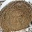 wheat-straw-round-bales-(bid-per-bale)-image-4