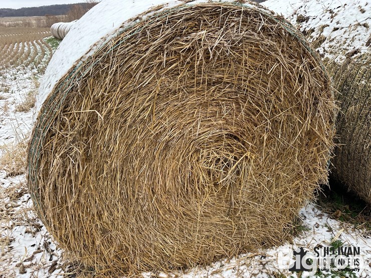 wheat-straw-round-bales-(bid-per-bale)-image-4