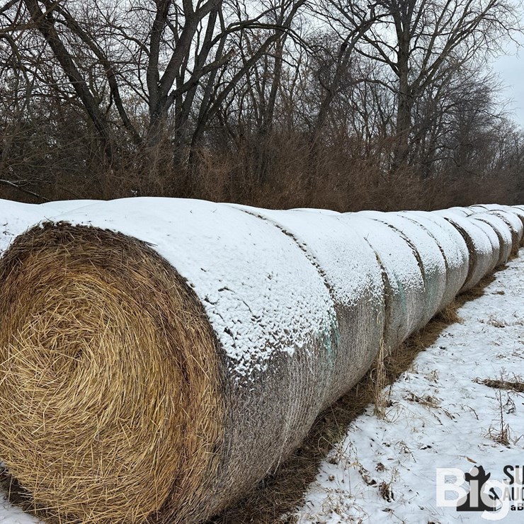 Wheat Straw Round Bales (BID PER BALE)