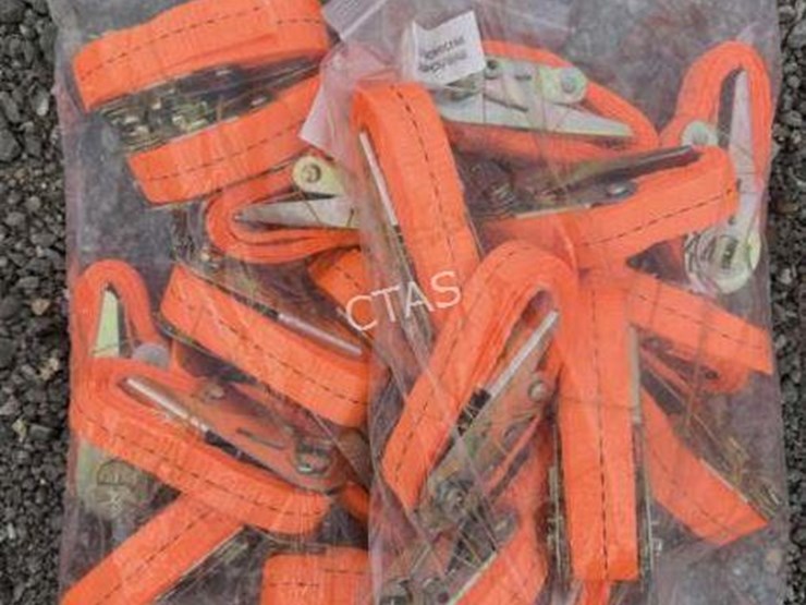 #100-•-(20)-ratchet-straps---2.5cm-x-2m-image-1