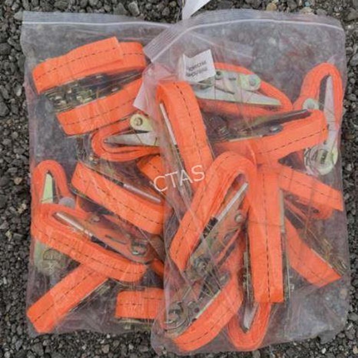 #100 • (20) Ratchet Straps - 2.5cm x 2m
