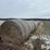 wheat-straw-round-bales-(bid-per-bale)-image-10