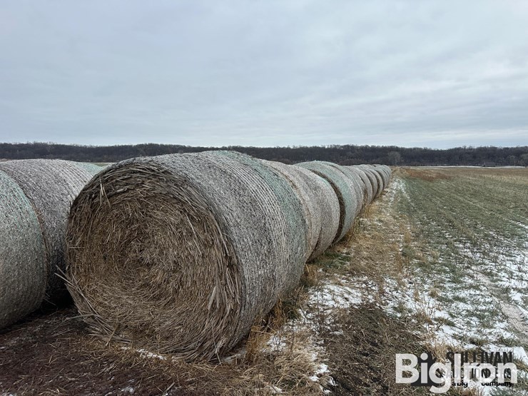 wheat-straw-round-bales-(bid-per-bale)-image-10