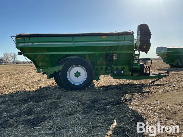 2021-brent-1196-image-4