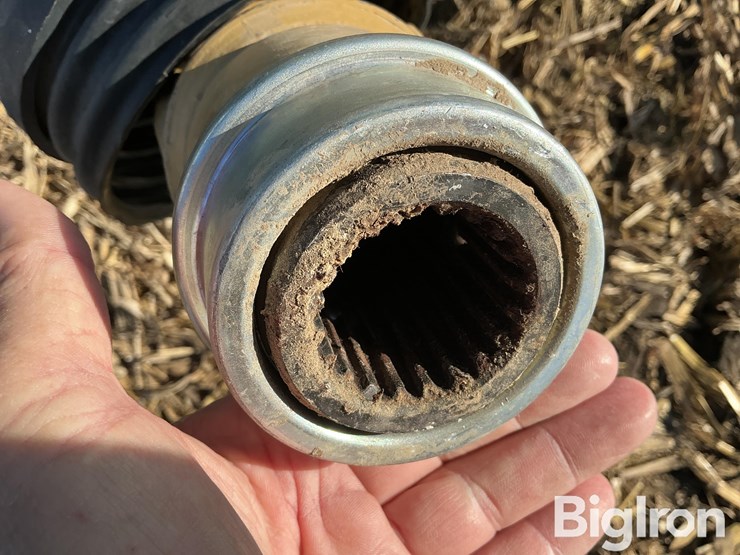 2021-brent-1196-image-10