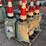 (120)-traffic-cones-image-1