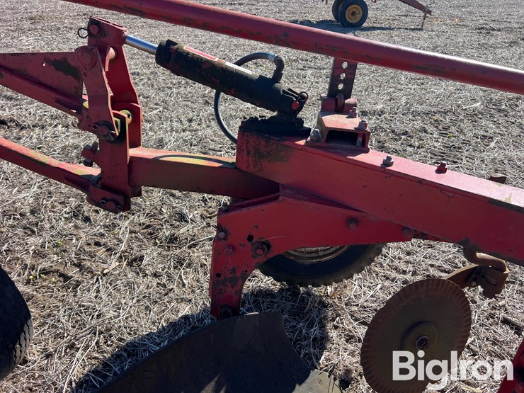 international-710-image-19