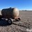 1,000-gal-tank-trailer-image-3
