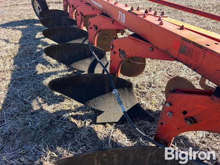 international-710-image-13