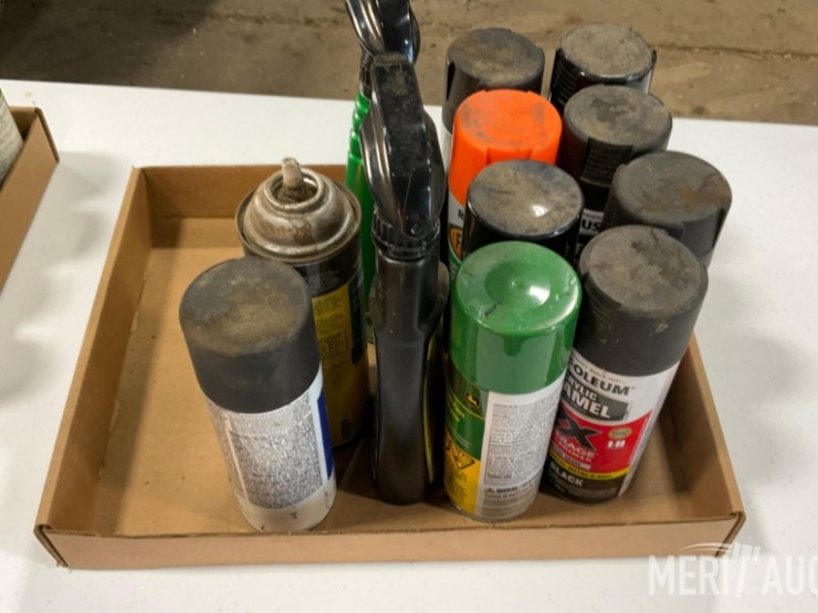 flat-of-assored-paint-and-car-cleaners-image-1