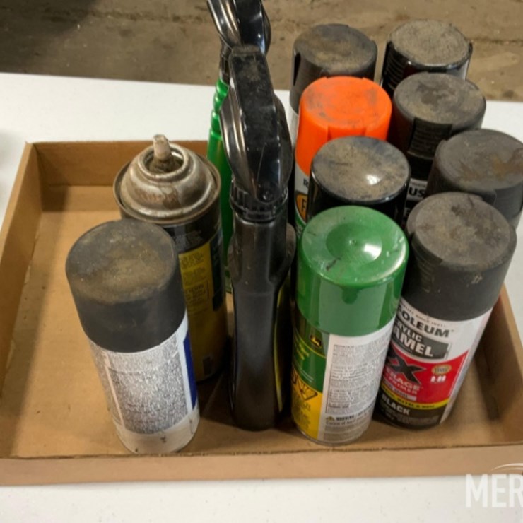 Flat of Assored Paint and Car cleaners