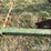 john-deere-implement-trailer-image-32