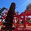 2016-kuhn-krause-8005-excelerator-verticle-tillage-tool-image-52