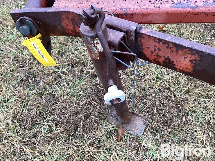 international-490-image-11