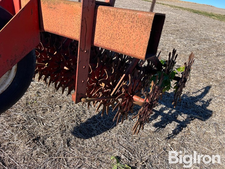 international-300-image-20