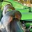 john-deere-608c-image-29