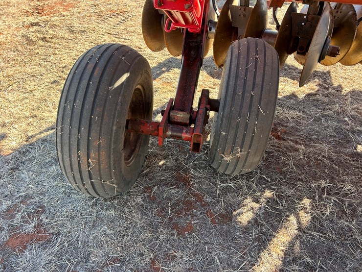 sunflower-1433-25-image-5