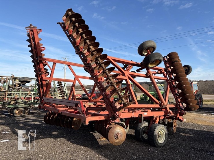 sunflower-1443-35-image-2