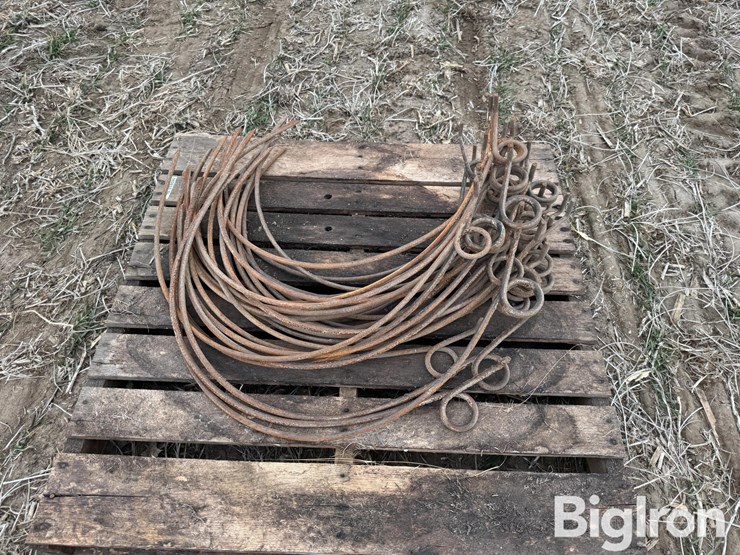 dump-rake-teeth-image-6