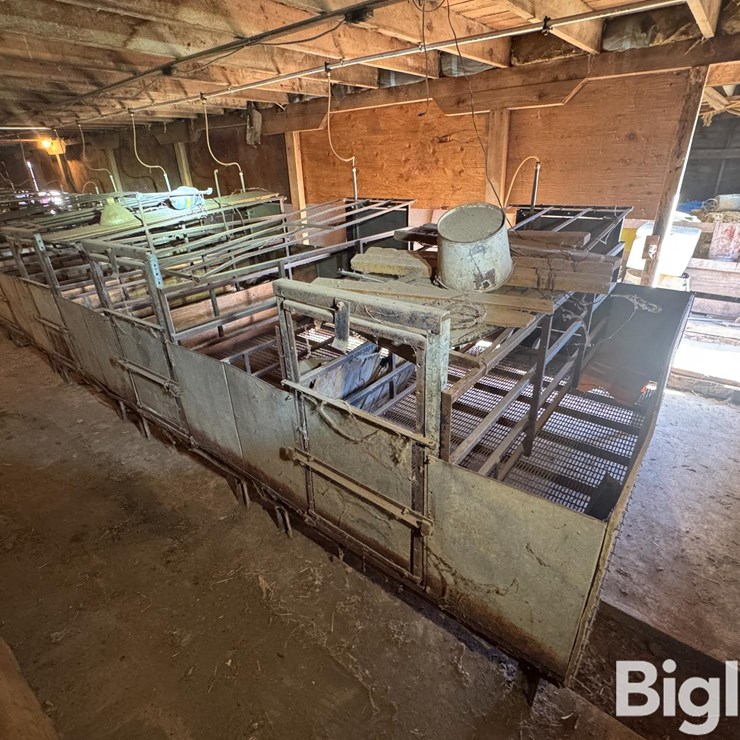 Complete Farrowing Crates