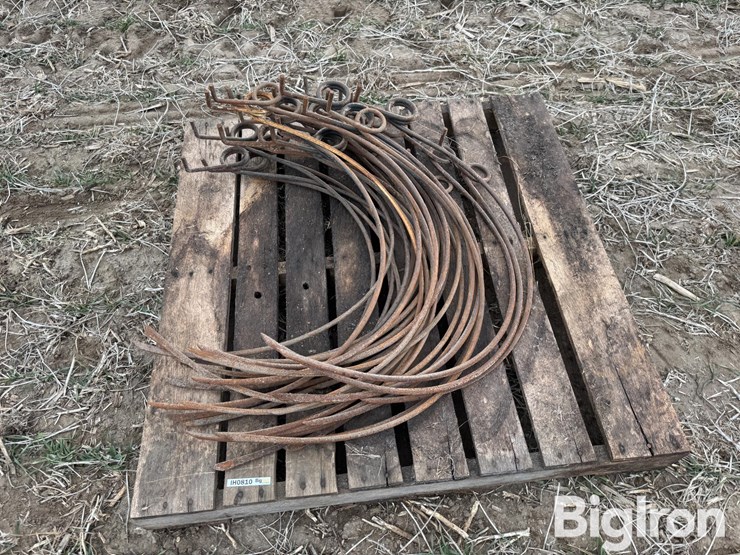 dump-rake-teeth-image-8