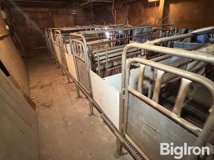 farrowing-crates-w/rubber/steel-floor-image-18