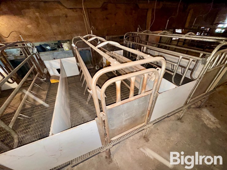 farrowing-crates-w/rubber/steel-floor-image-8