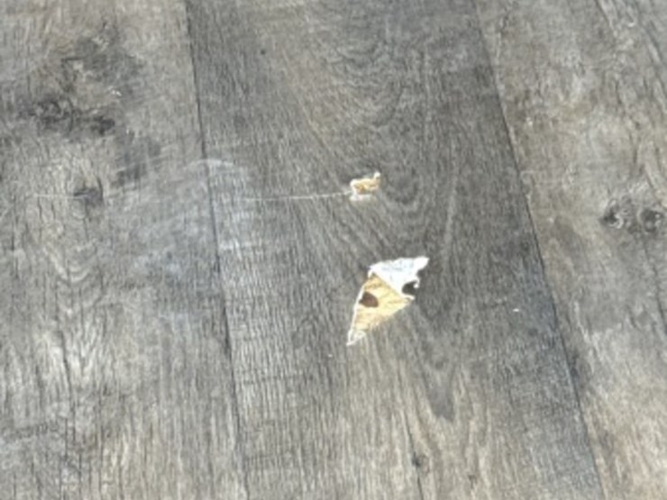 2019-forest-river-smt251ssxl-ca-toy-hauler-image-36