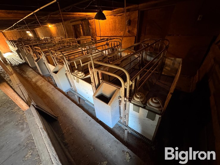 farrowing-crates-w/rubber/steel-floor-image-4