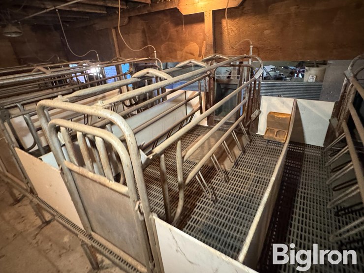 farrowing-crates-w/rubber/steel-floor-image-20